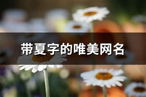 夏的名字|带夏字的名字